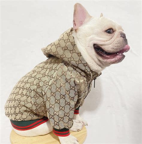 gucci orange coat|gucci coats for pets.